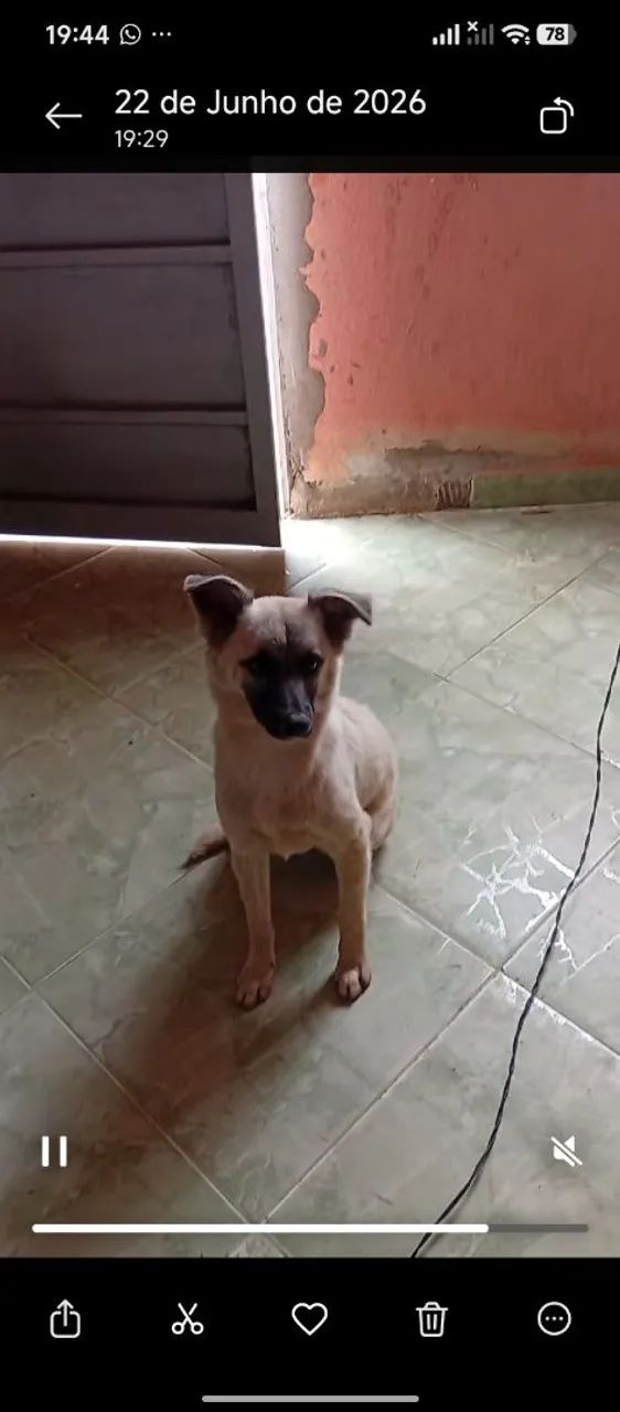 Doação 