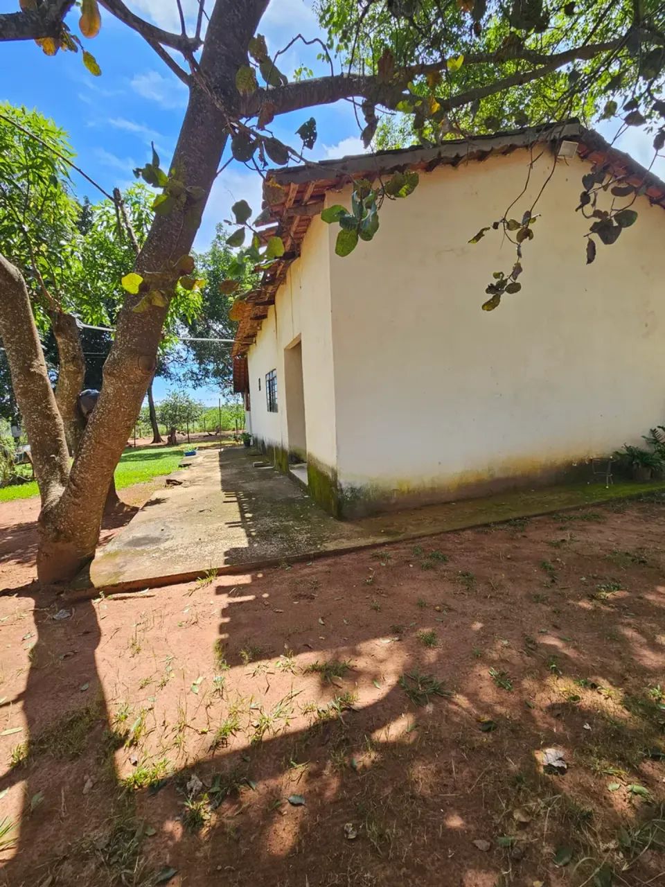 Imóvel para venda com 5012 metros quadrados com 3 quartos - Foto 3