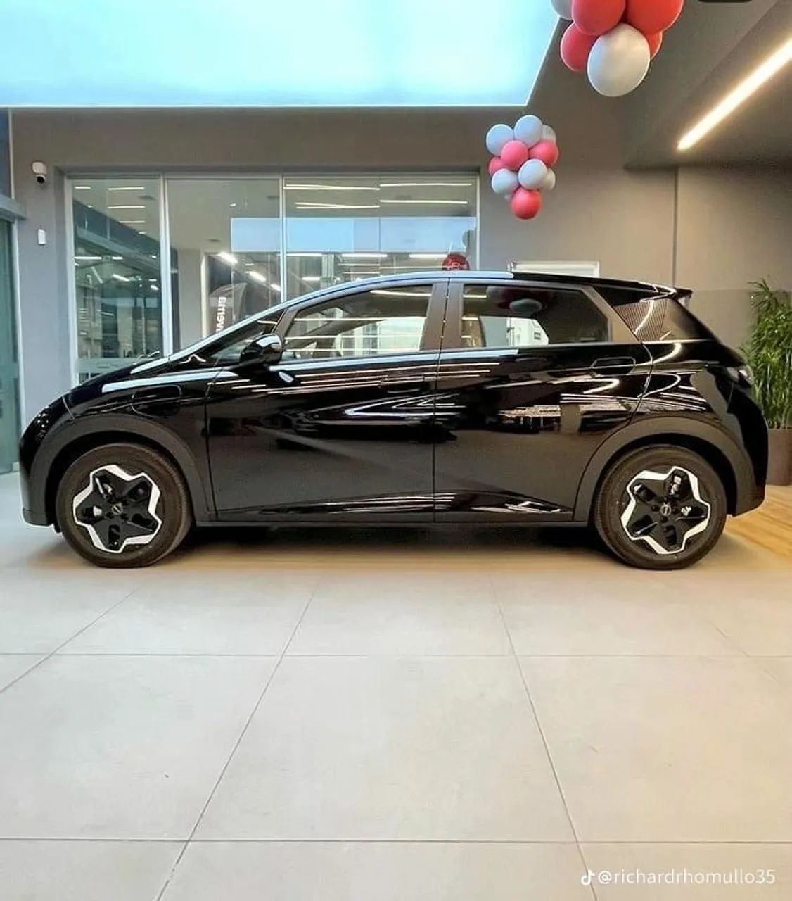 BYD Dolphin GS (Elétrico) 2027 - Foto 3