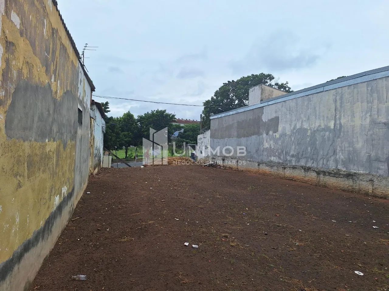 terreno - Jardim Campos Elíseos - Campinas - Foto 2