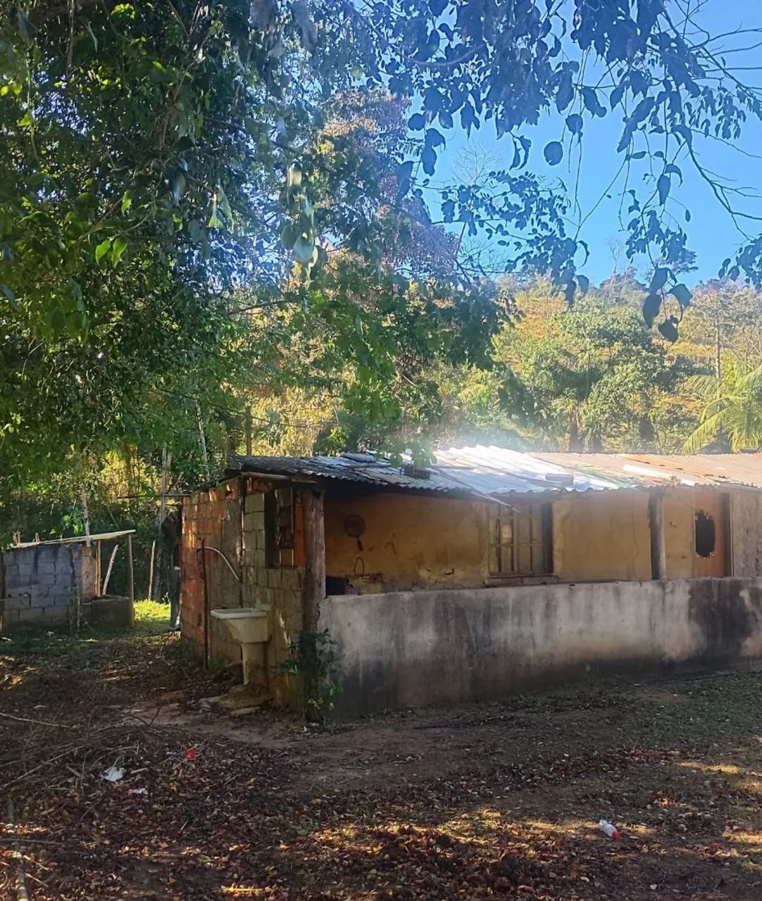 Vendo uma granja - Foto 5