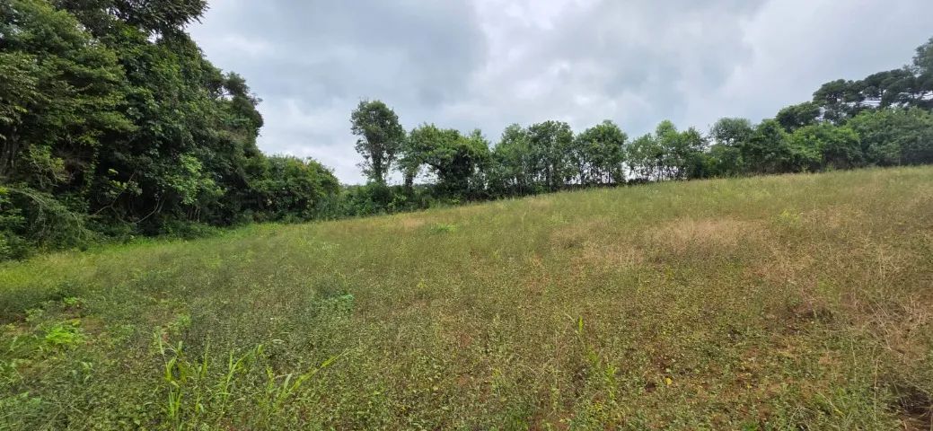 Chácara em Contenda 30,250m2 - Foto 5