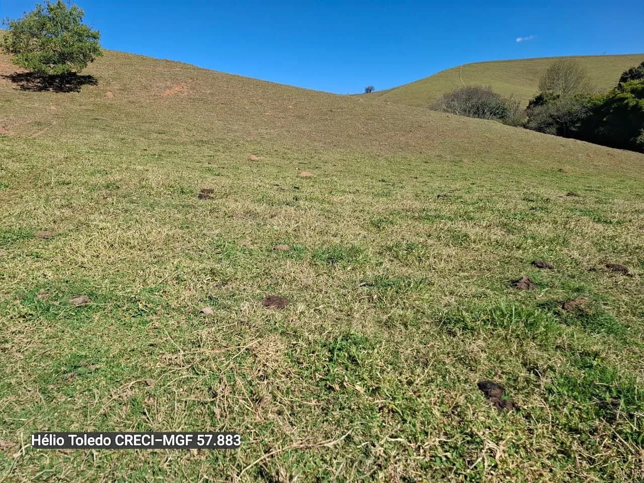 Sítio 19 Hectares Brazópolis-Mg <br> - Foto 5