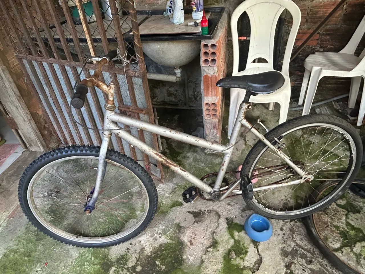 Bicicleta 