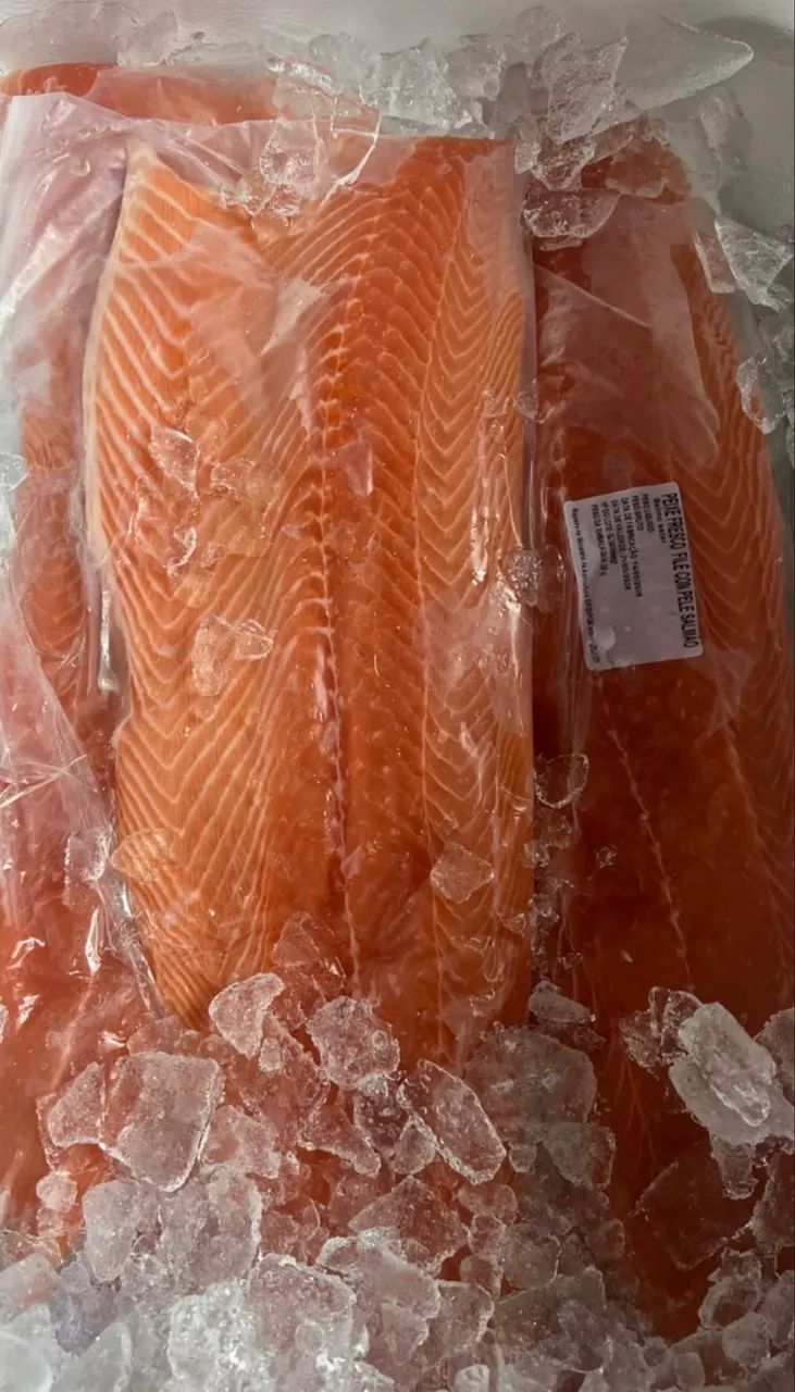 Peixes e Mariscos A Partir de - Foto 3