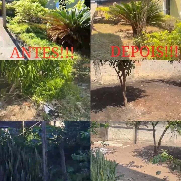 Roçagem e limpeza de lote  - Foto 2