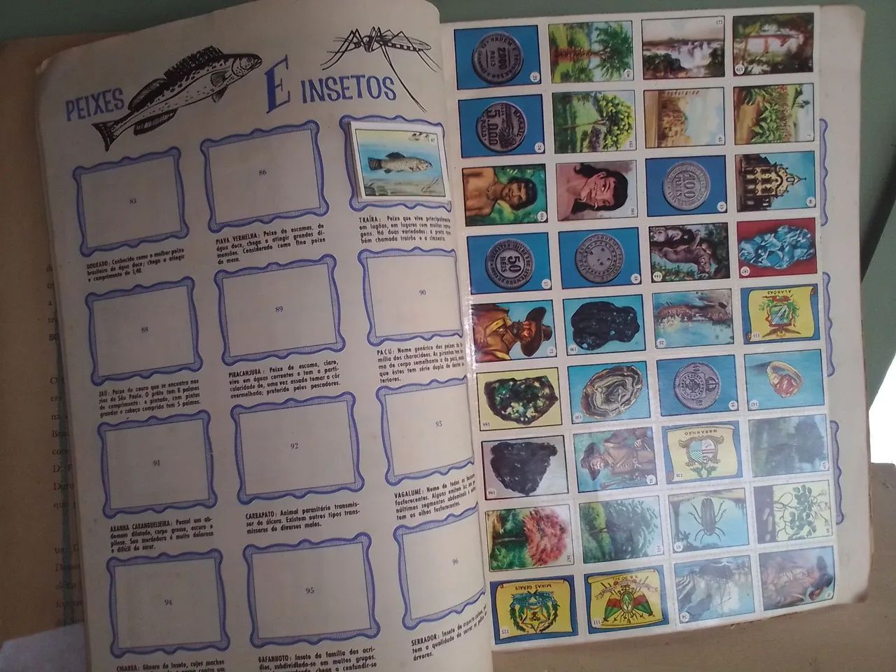 Álbum de figurinhas Eis o Brasil  - Foto 3
