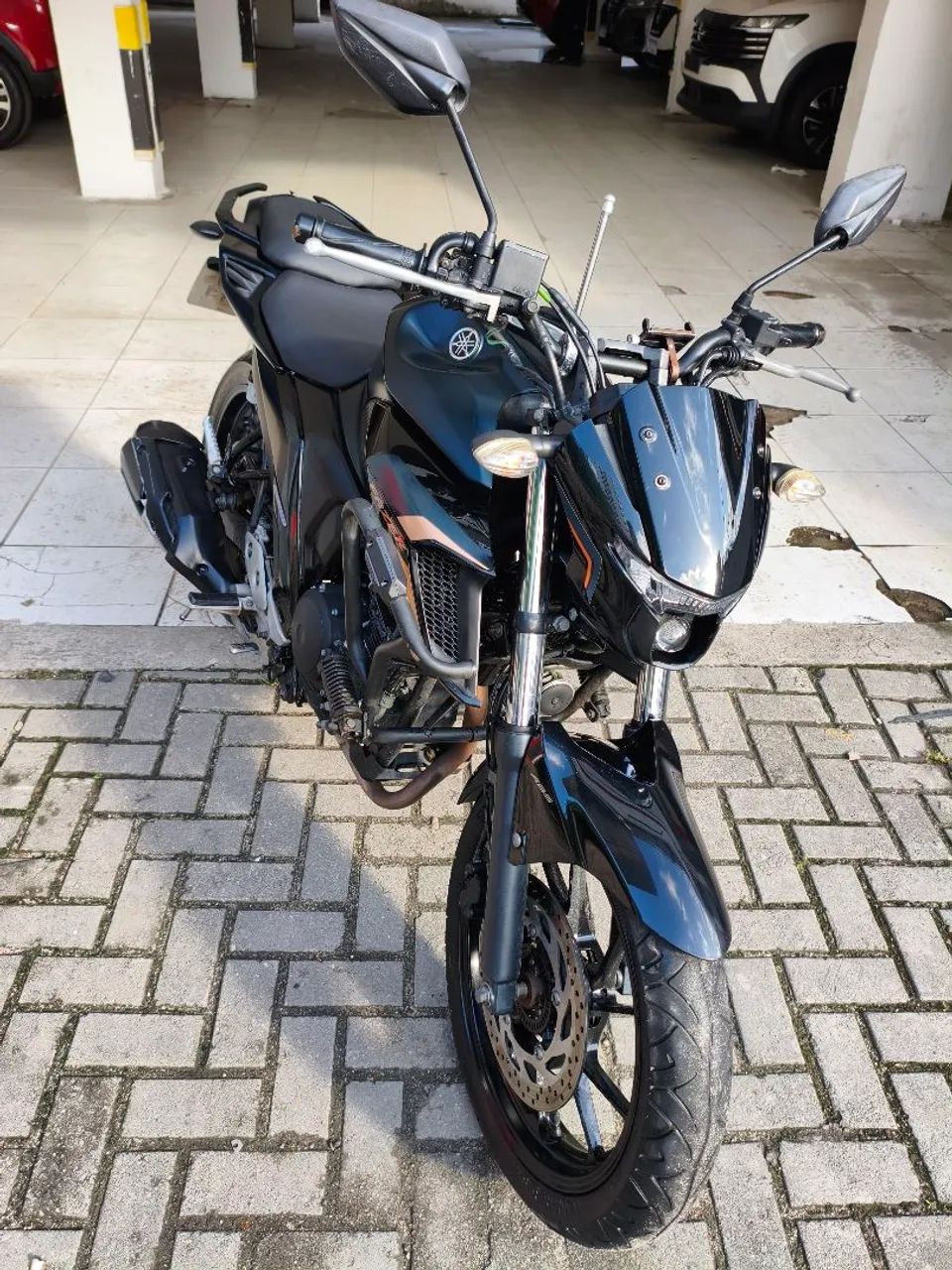Fz 25 2023/2024 