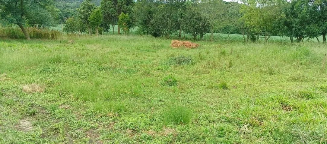 Terreno cidade da Lapa PR  - Foto 5