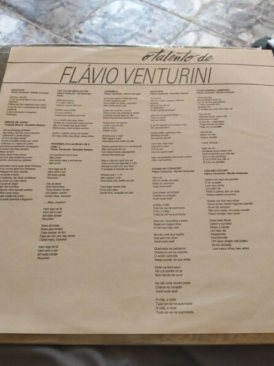 LP DUPLO Flávio Venturini  - Foto 3
