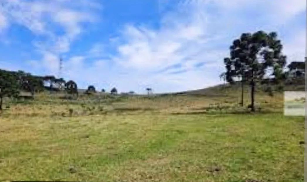 Terrenos para investimento  - Foto 3