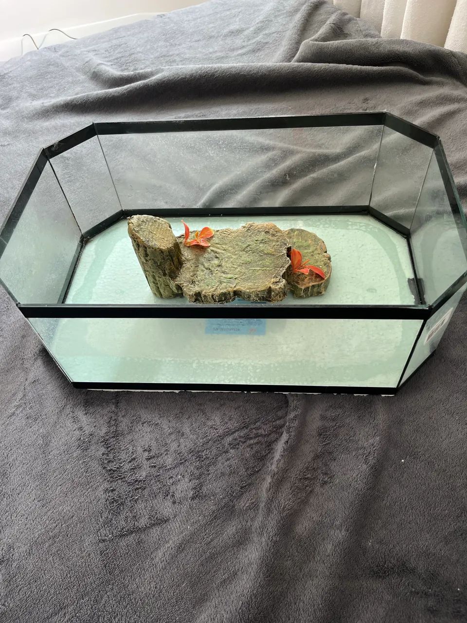 Aquário Terrário com Ilha Lester N° 02