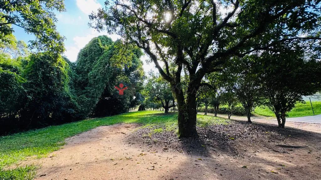 Sítio à venda em Itupeva-SP com 20530m² - Foto 2