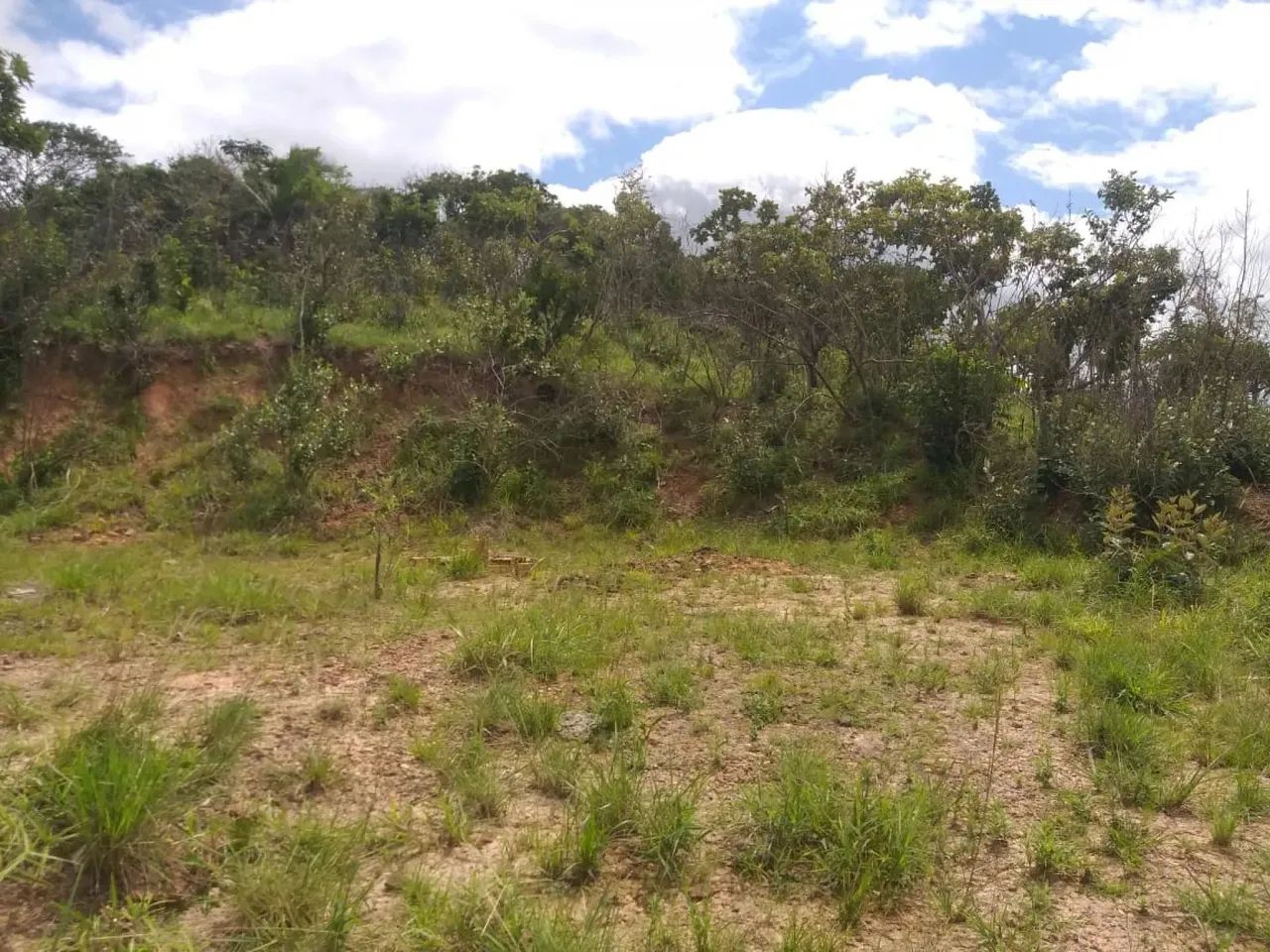 Terreno à venda no Guajará - Foto 3