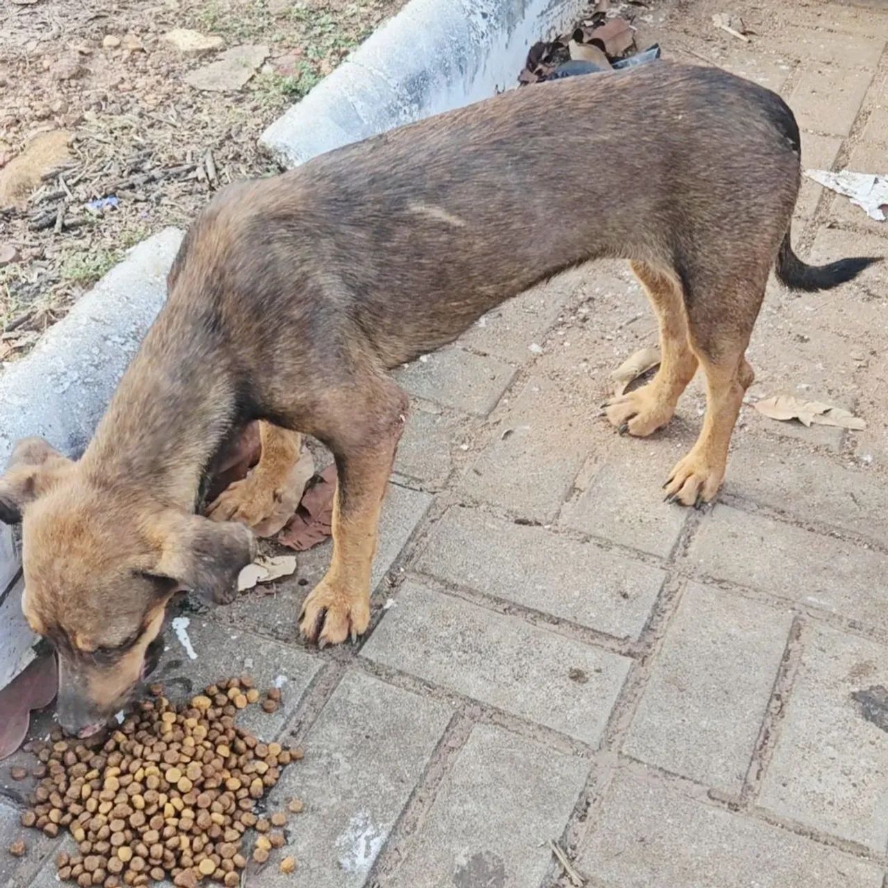 Pedido de ajuda.  - Foto 4