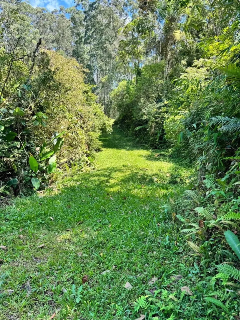 Belo sitio em Anitápolis - SC - Foto 3