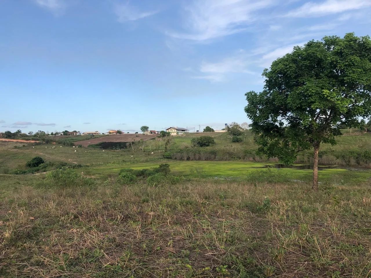 Vendo Fazenda em Guarabira PB - Foto 3