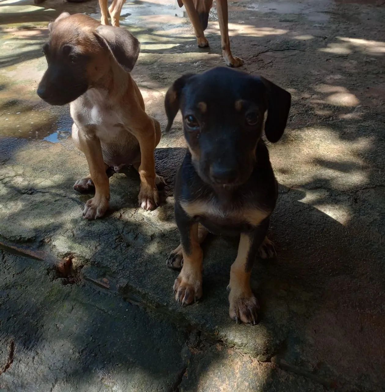 Doação  - Foto 2