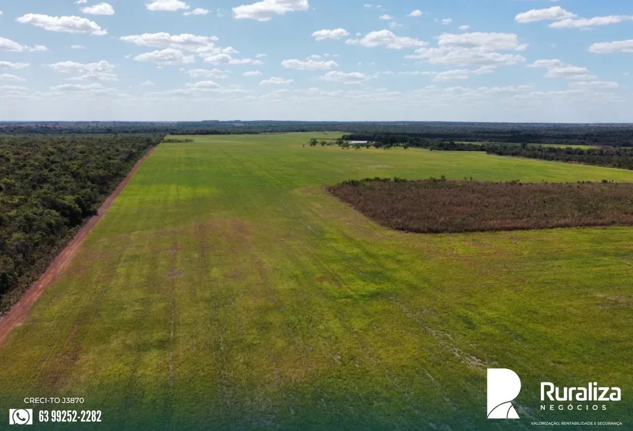 675 ALQUEIRES | 1.100 HA AGRICULTÁVEIS | 100% PLANA - Foto 3