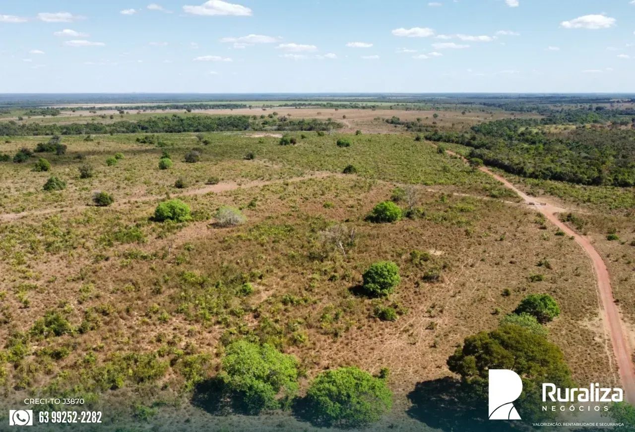 675 ALQUEIRES | 1.100 HA AGRICULTÁVEIS | 100% PLANA - Foto 2