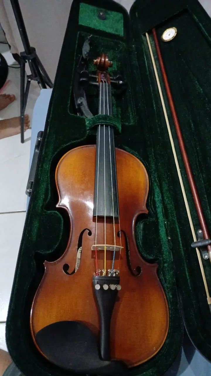 Violino 