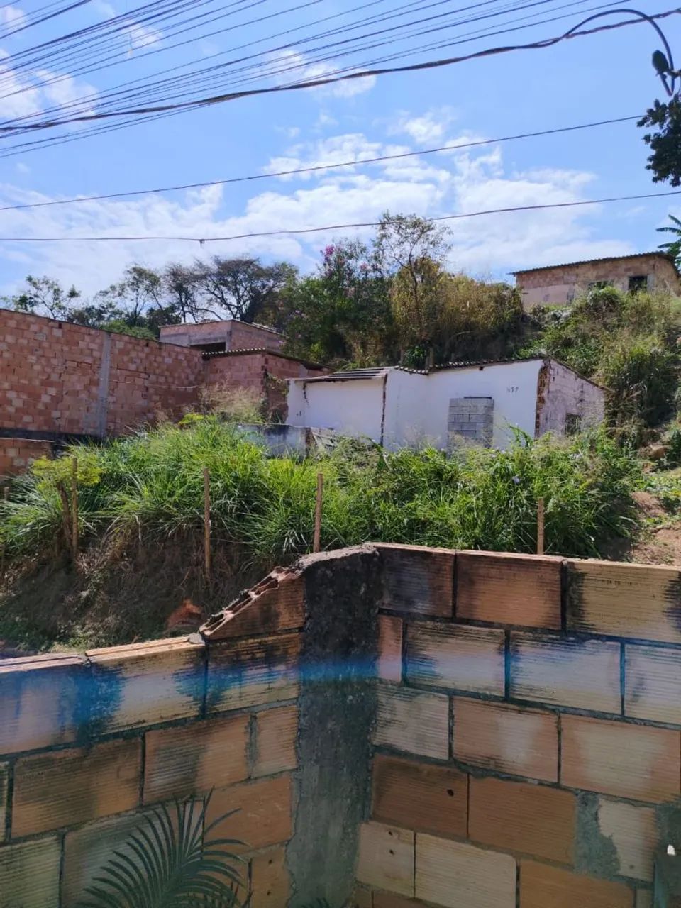 Lote com barracão  - Foto 2