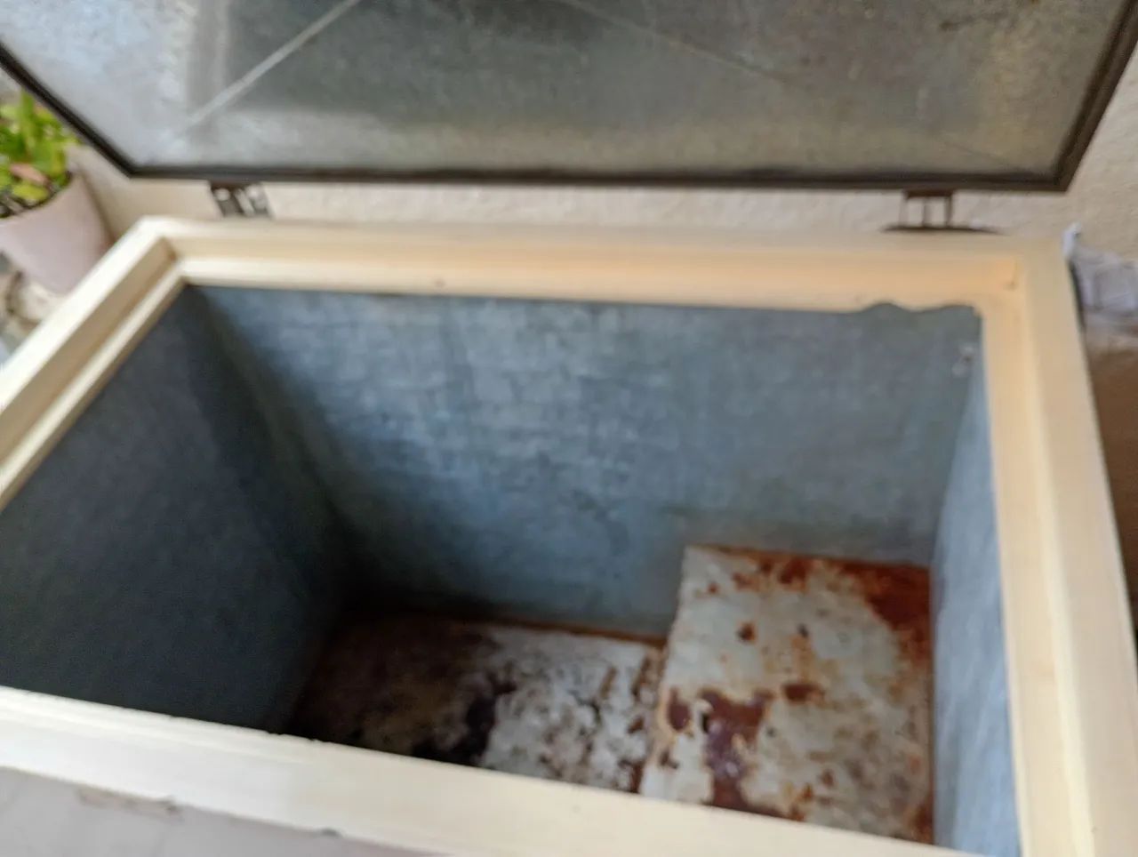Freezer 550 - Foto 3