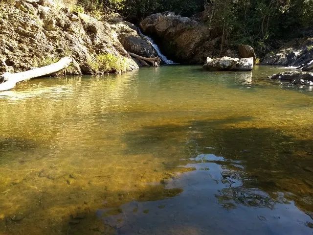 FAZENDA PARA CAFÉ NO SUL DE MINAS - Foto 3