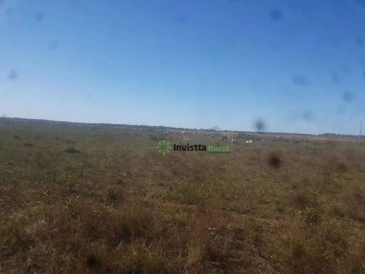 Fazenda de 714 alqueires com relevo 100% plano e logística estratégica no Tocantins - Foto 5