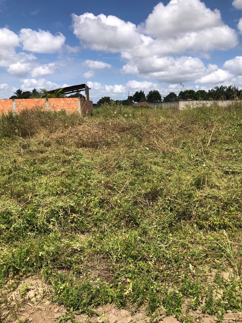  Terreno  - Foto 4