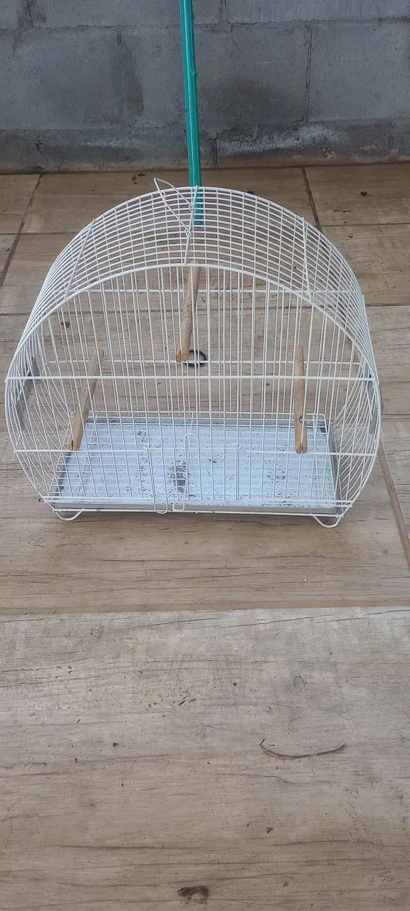 Gaiola ramester e passaro - Foto 2