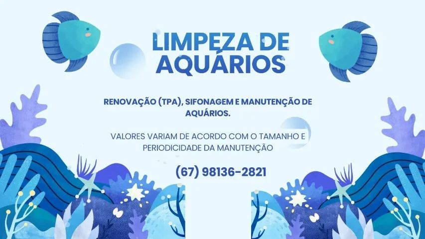 Limpeza de aquário 