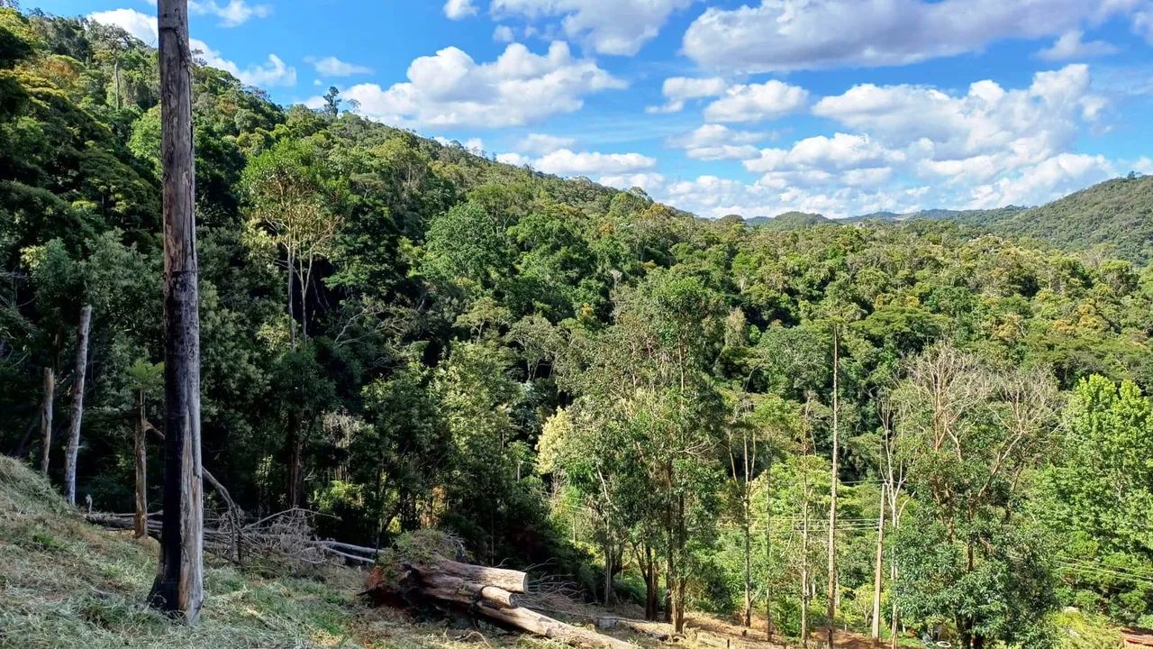 Lote / Terreno à venda em Marechal Floriano - Foto 4