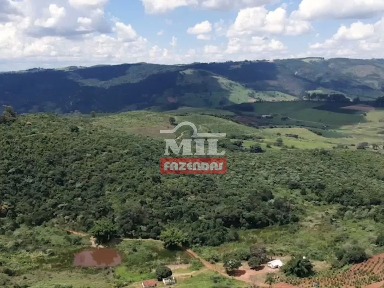 Fazenda Produtora de Café em SP (164 Hectares) - Foto 3