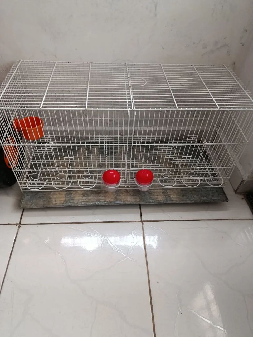 Gaiola 