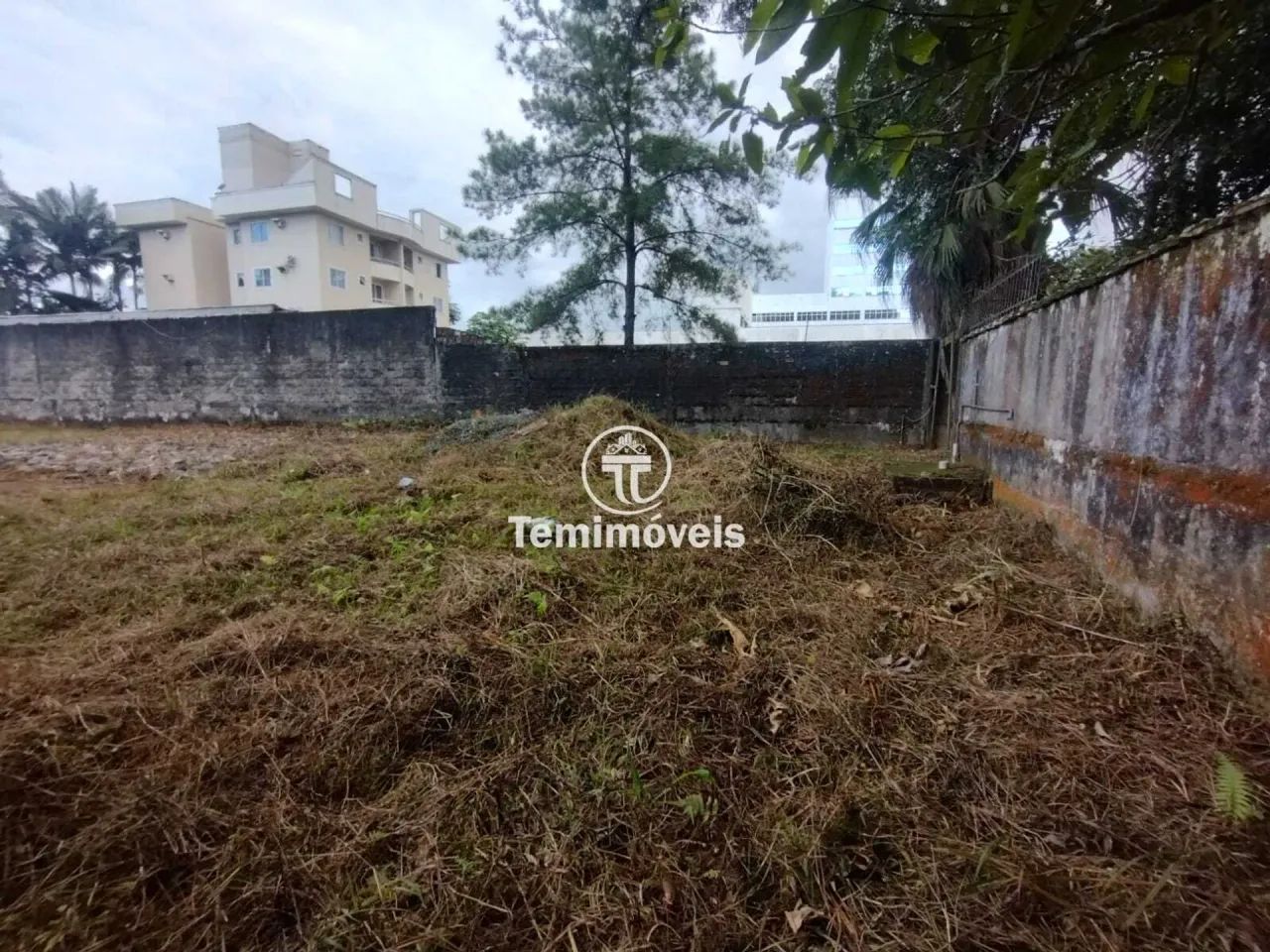 Excelente Terreno Comercial com 955m² na Rua Itaiópolis, Próximo a HapVida - Foto 4
