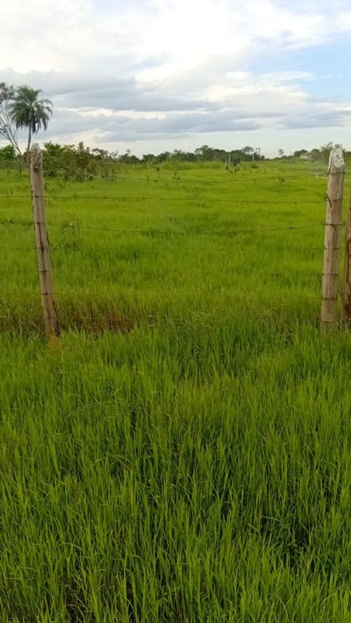 Vendemos um sitio - Foto 2