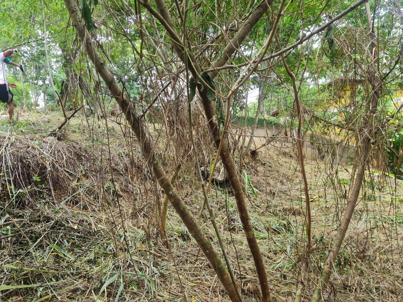 Foto - Itatiaia - 
