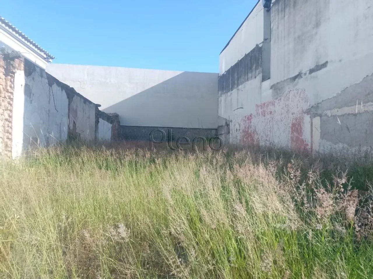 Terreno à venda em Campinas, Botafogo, com 237 m² - Foto 5