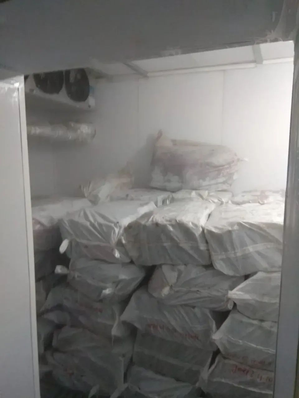 Galpão/Depósito/Armazém para venda com 2400 metros quadrados em Mooca - São Paulo - São Pa - Foto 8