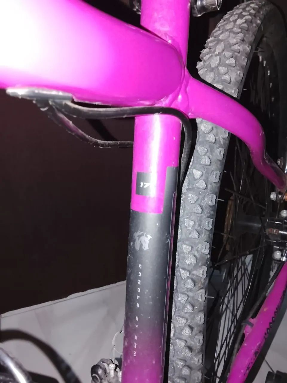 Bicicleta aro 29 ECOS SAFIRA - Foto 3