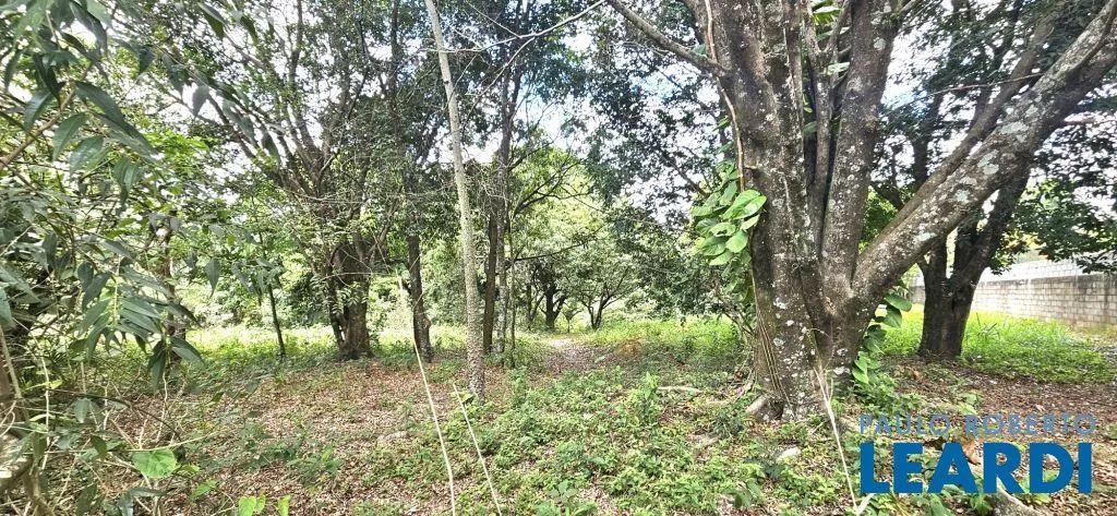 TERRENO - CHÁCARAS SÃO BENTO - SP - Foto 5