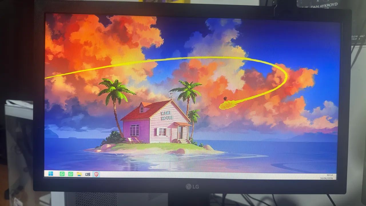 Monitor lg 19.5 hdmi