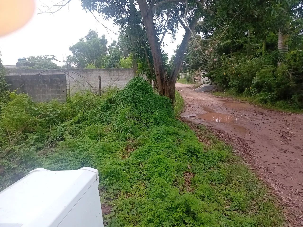Lote12x25 - Foto 2