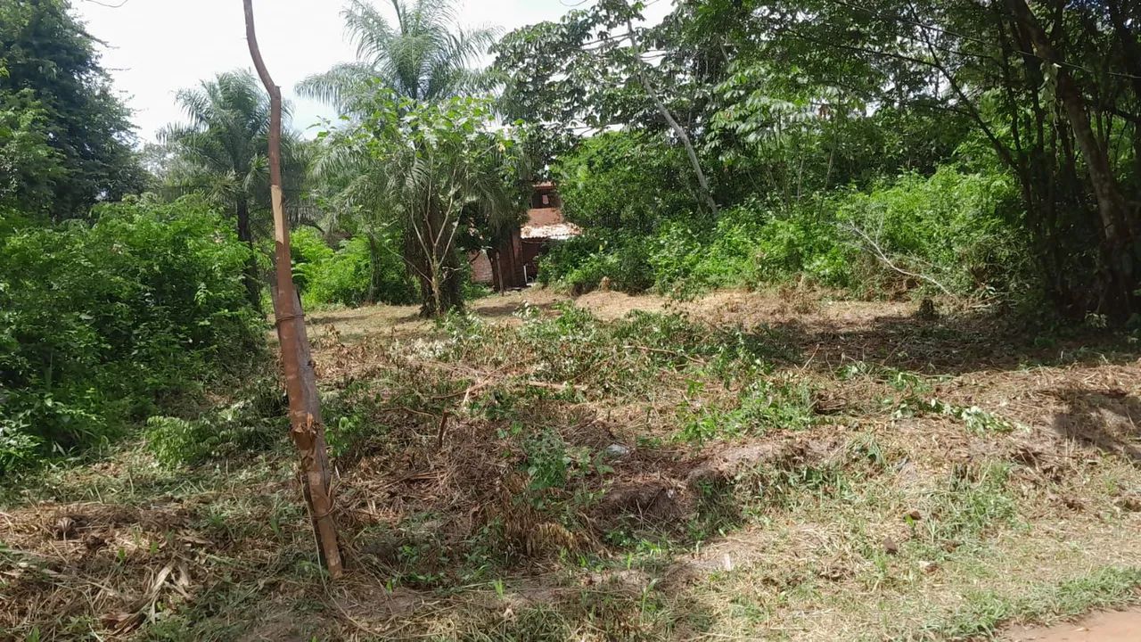 Terreno no murinin/Benevides  - Foto 2