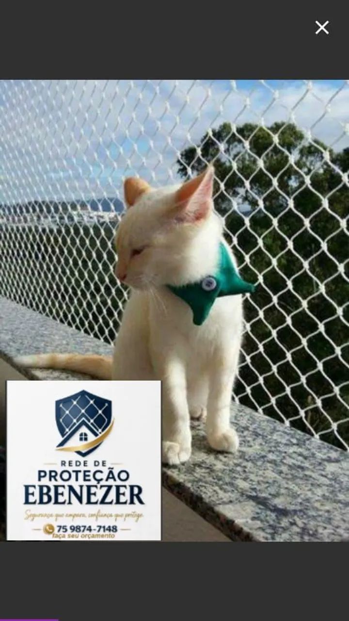REDE DE PROTEÇÃO EBENÉZER  - Foto 2