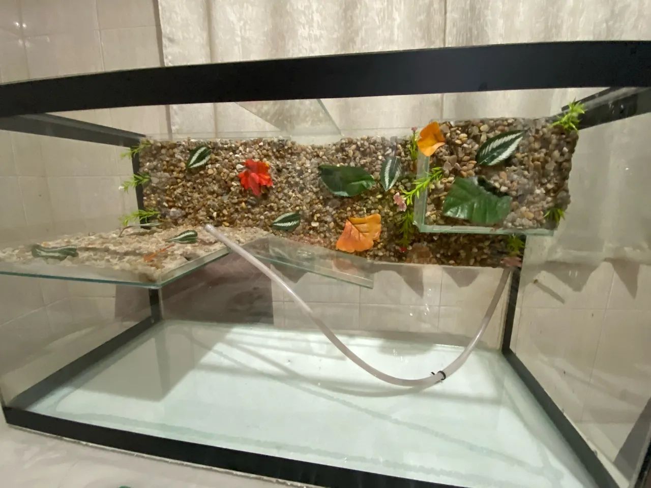 Aquário com plataforma  - Foto 2