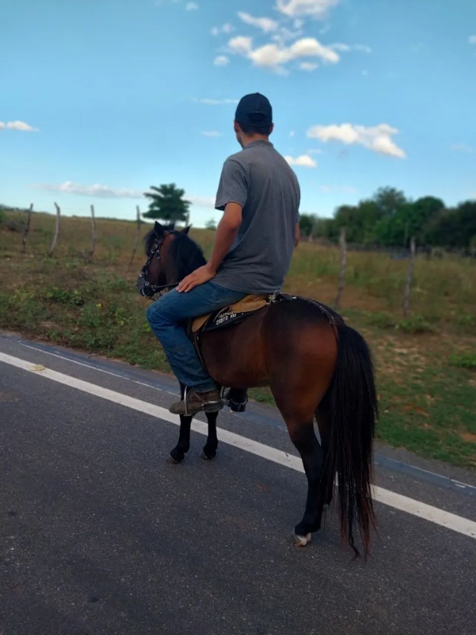 Vende-se pônei 6.000 - Foto 3