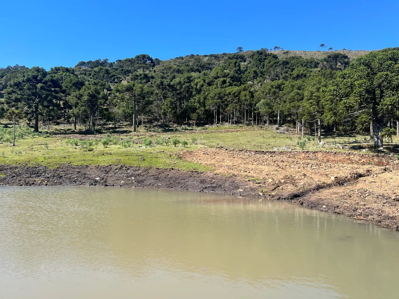 Fazenda em Urubici - 131 hectares  - Foto 7