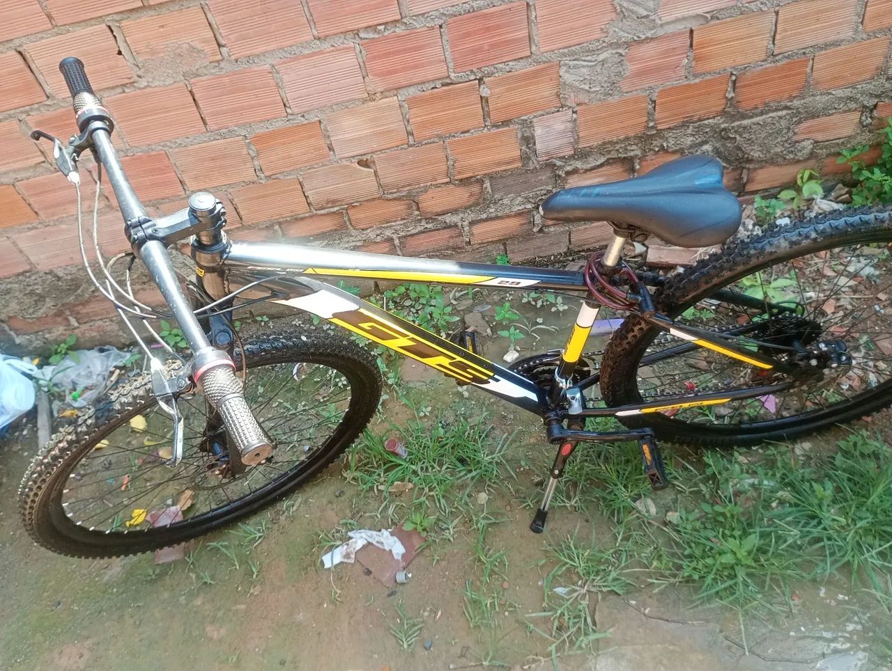 Bicicleta 